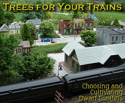 Trees for Your Trains - Choosing and Cultivating Dwarf Conifers