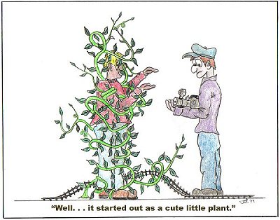 Tom Knight drew this cartoon, too.
