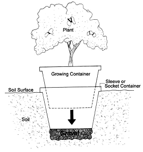 Click for a bigger picture.