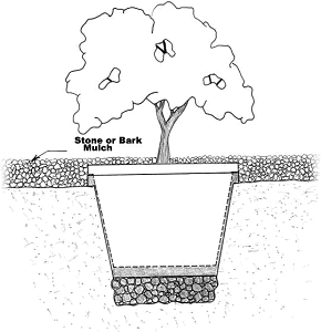 Click for a bigger picture.