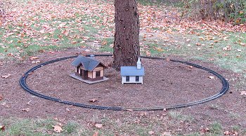 A 10'-diameter circle underneath a recently trimmed spruce. Click for bigger photo.