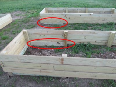 The gaps at the 'deep end' of the raised garden beds are somewhat plugged by additional 2x6s toenailed in from the inside.  You can't tell from the photo, but I was careful to leave gaps for drainage.