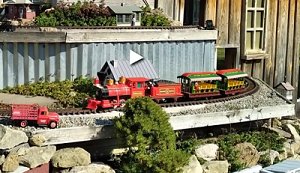 Click to see a very short video of this train running on my garden railroad.