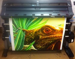 This large-format printer is big enough to paper your car.  It was selling used for ten grand when I came across it.  Click for bigger photo.